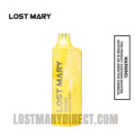 Ginger Beer Lost Mary MO5000 Vape