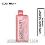 Raspberry Watermelon Lost Mary MT15000 Turbo Vape